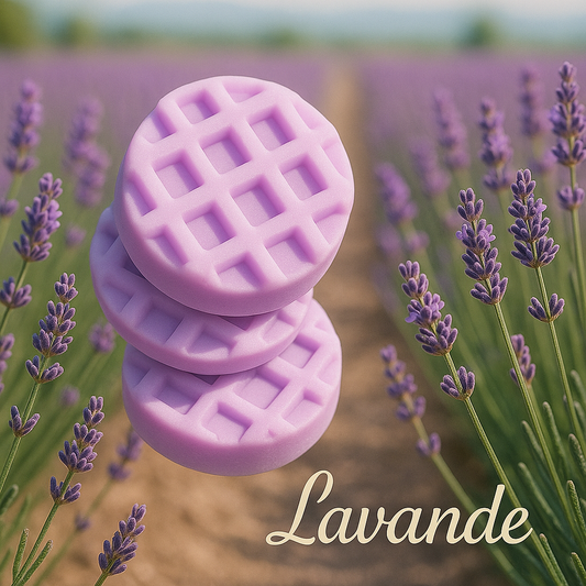 Lavande