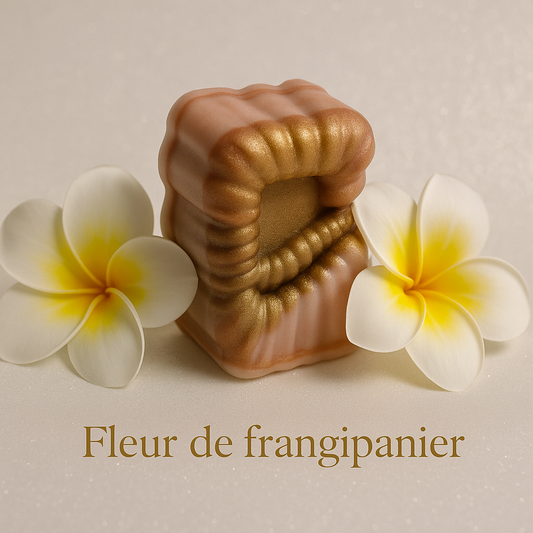 Fleur de frangipanier