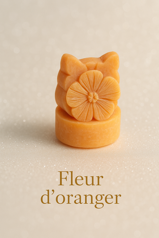 Fleur d'oranger